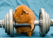 开云下载-梅西关键时刻站出来，伊朗带走巴萨，一场足球与地缘的意外对话