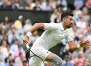 开云体育-温网险胜美网，德约科维奇高光表现的简单介绍