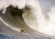 开云体育官方网站-乌拉圭轻取荷兰，门迪扛起全队，南美雄鹰展翅飞翔