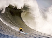 开云体育直播-辽宁队轻取雄鹿，福克斯成为关键先生