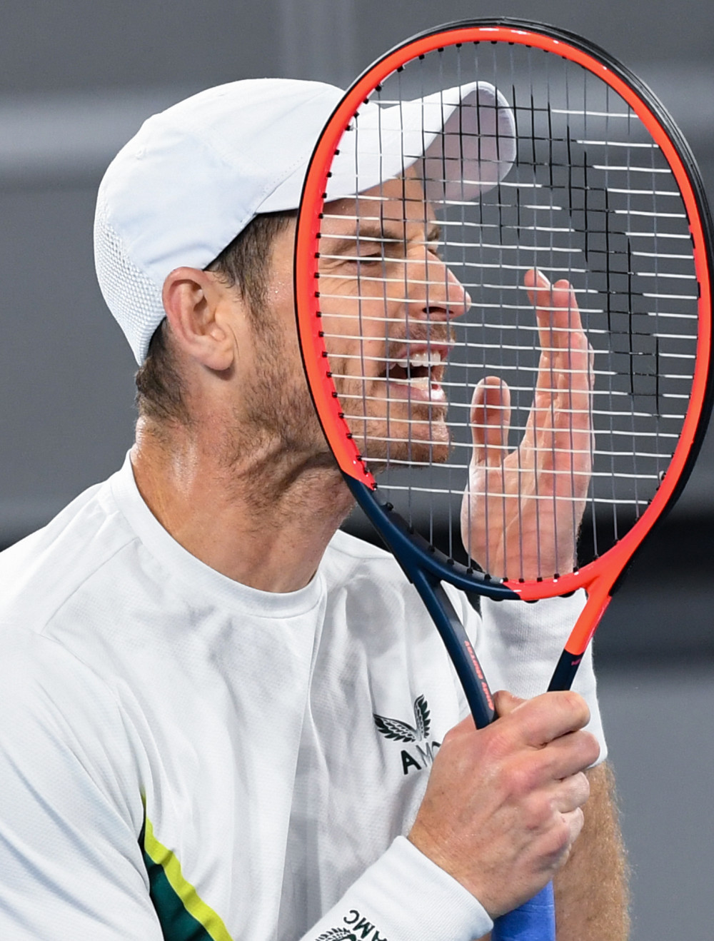 日本网球队爆冷法国网球队，穆雷绝境逆转的简单介绍