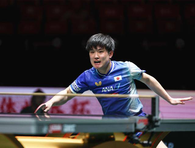 德国队绝杀奥地利队，张本智和关键制胜的简单介绍