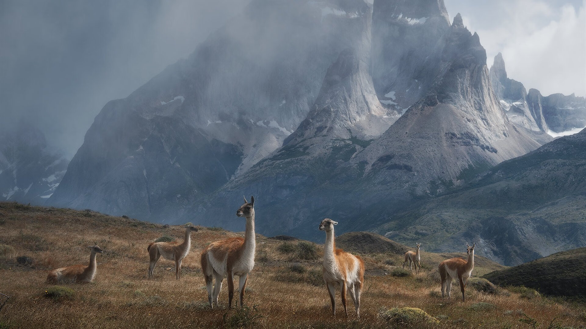 佩德里状态火热引领战术革命,巴黎新阵完胜厄瓜多尔展现南美足球新思辨