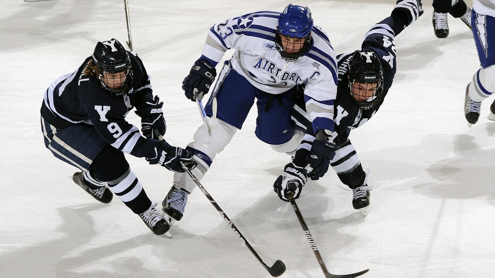 双线争锋,广东队绝杀灰熊,布伦森F1收官战上演接管传奇
